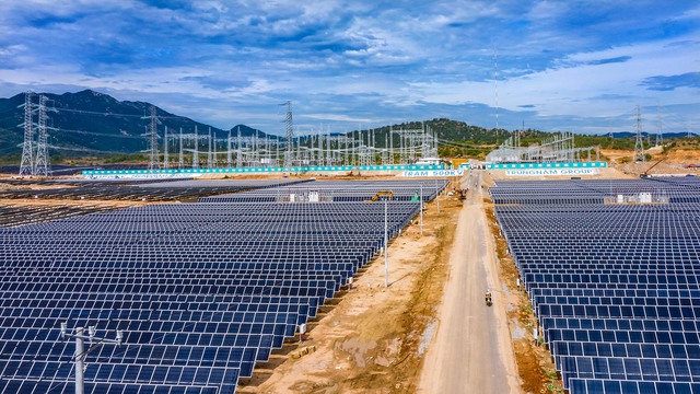 Trung Nam Thuận Nam báo lãi hơn 138 tỷ đồng trong năm 2024- Ảnh 1.