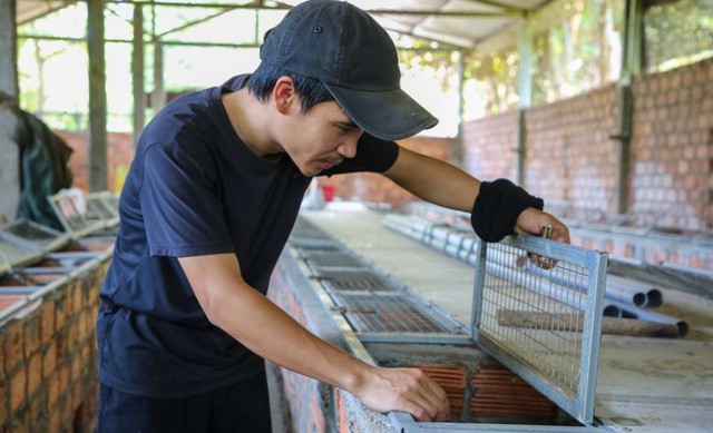 Nuôi con "hiền lành, mắn đẻ", chàng trai 9X thu lãi 500 triệu đồng/năm - Ảnh 3.