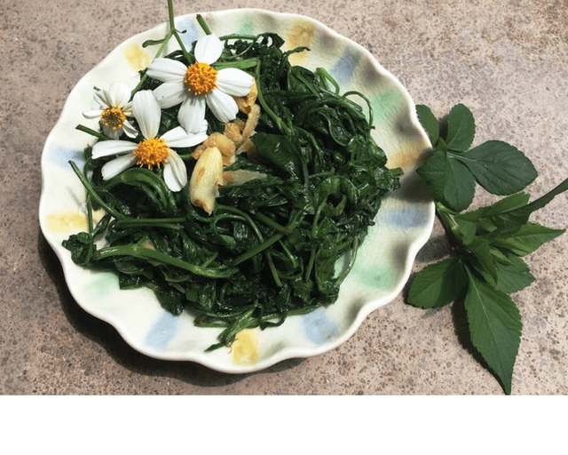 Loại cây là "kẻ thù nhà nông" ở quê ít ai ngó, thế giới lại đánh giá cao - Ảnh 2.