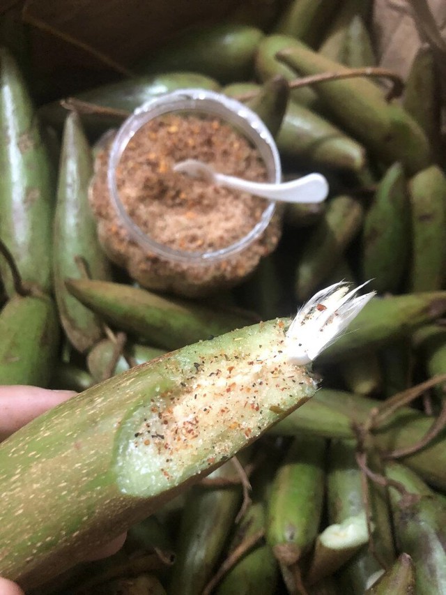 Loài cây dại "xấu xí" trước cho không ai lấy, nay đi nhặt quả bán gần 100.000 đồng/kg - Ảnh 2.