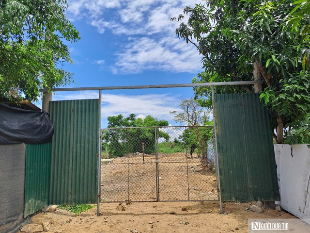 Xử lý bãi tập kết hàng nghìn đầu trâu, bò bốc mùi hôi thối giữa thành phố- Ảnh 1. Xử lý bãi tập kết hàng nghìn đầu trâu, bò bốc mùi hôi thối giữa thành phố- Ảnh 1.