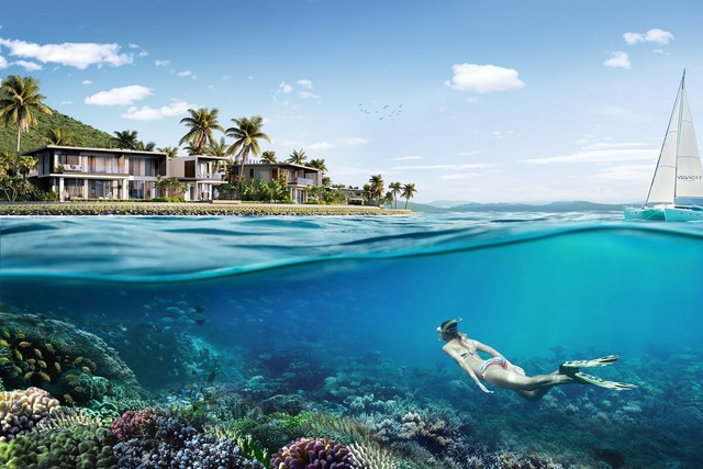 Cùng Villa Le Corail, A Gran Meliá Hotel bảo tồn hệ sinh thái ngay dưới thềm dinh thự- Ảnh 1. Cùng Villa Le Corail, A Gran Meliá Hotel bảo tồn hệ sinh thái ngay dưới thềm dinh thự- Ảnh 1.