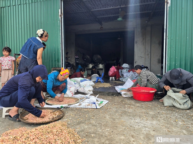 Sợ trên thị trường dầu ăn "bẩn", người dân xứ Nghệ đổ xô đi ép dầu lạc, vừng về dùng - Ảnh 1. Sợ trên thị trường dầu ăn "bẩn", người dân xứ Nghệ đổ xô đi ép dầu lạc, vừng về dùng - Ảnh 1.