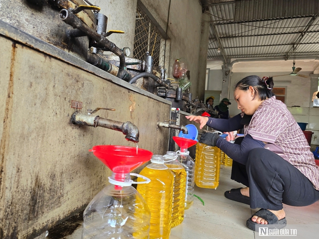 Sợ trên thị trường dầu ăn "bẩn", người dân xứ Nghệ đổ xô đi ép dầu lạc, vừng về dùng - Ảnh 6. Sợ trên thị trường dầu ăn "bẩn", người dân xứ Nghệ đổ xô đi ép dầu lạc, vừng về dùng - Ảnh 6.