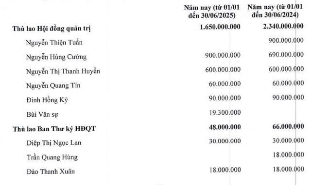 Soi thu nhập sếp lớn các công ty địa ốc mùa bão: Lãi ít, lỗ nhiều, lương vẫn cao chót vót- Ảnh 3.