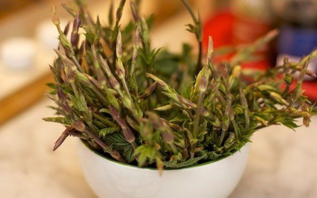 Loại rau dại từng ít người "ngó" đến, nay thành đặc sản 39 triệu đồng/kg - Ảnh 1.