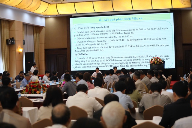 Áp dụng tiêu chuẩn VietGAP giúp mắc ca tăng giá bán từ 10 – 20% so với sản xuất thông thường- Ảnh 3.