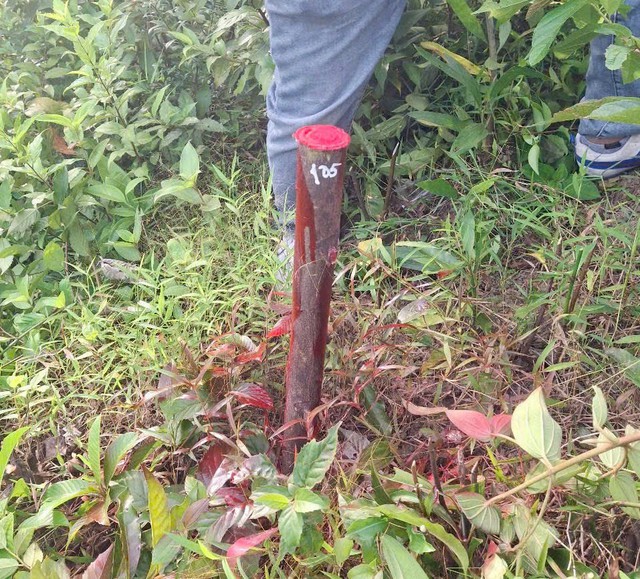 Hà Tĩnh đề xuất điều chỉnh thiết kế trên tuyến đường sắt tốc độ cao qua địa bàn - Ảnh 3.