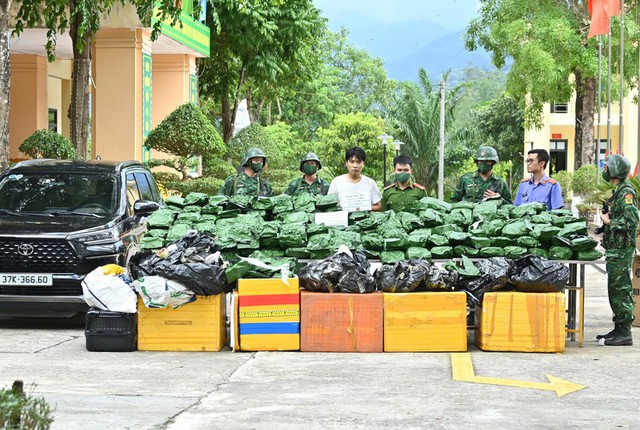 Hà Tĩnh: Bắt giữ đối tượng vận chuyển, tàng trữ 240 kg cần sa - Ảnh 1.