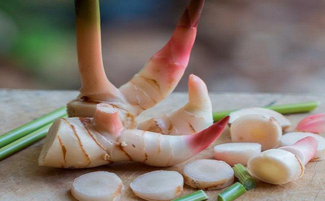 Loại củ "hiếm có khó tìm" trên thế giới, Việt Nam trồng bạt ngàn - Ảnh 3.