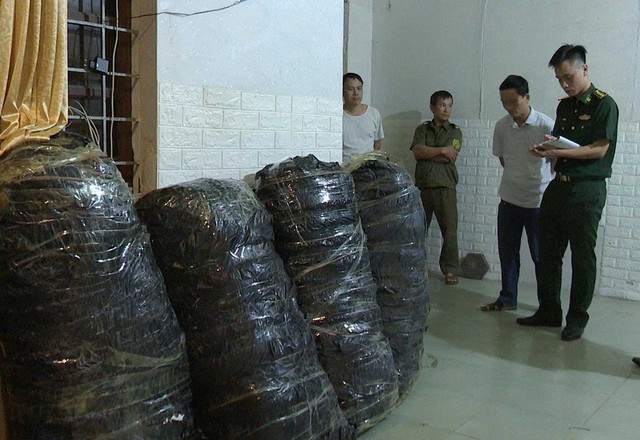 Hà Tĩnh: Bắt giữ đối tượng vận chuyển, tàng trữ 240 kg cần sa - Ảnh 2.