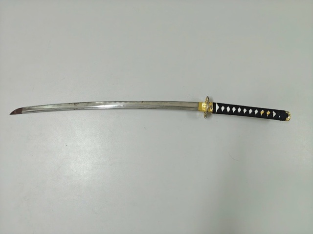 Đề nghị truy tố nam thanh niên dùng kiếm chém anh họ  - Ảnh 1.