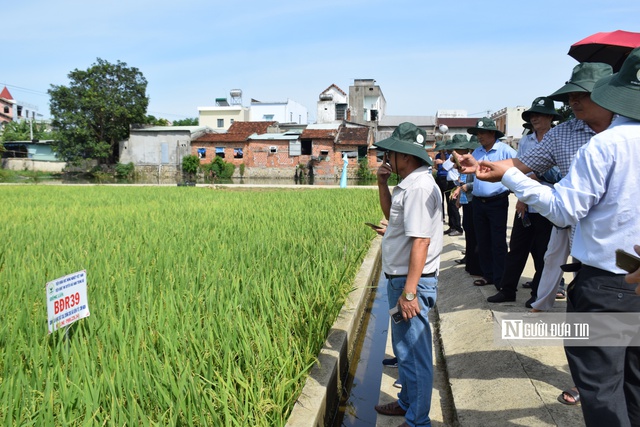 Tiến bộ khoa học kỹ thuật nông nghiệp "khó" đến tay người nông dân- Ảnh 4.