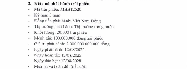 MB hút thêm 2.000 tỷ đồng từ kênh trái phiếu- Ảnh 1.