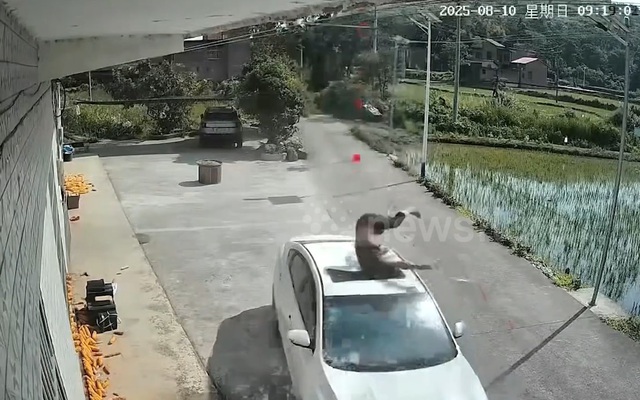 Ngã khỏi mái nhà, người đàn ông rơi trúng ô tô và cái kết - Ảnh 1.