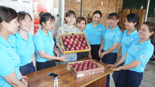 Gia Lai kỳ vọng thu hút đầu tư, mở rộng thị trường xuất khẩu từ các hội nghị xúc tiến đầu tư và thương mại năm 2025- Ảnh 3.