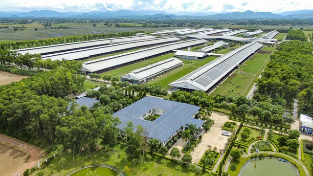Việt Nam có thương hiệu sữa được đánh giá tiềm năng nhất toàn cầu - Ảnh 3.