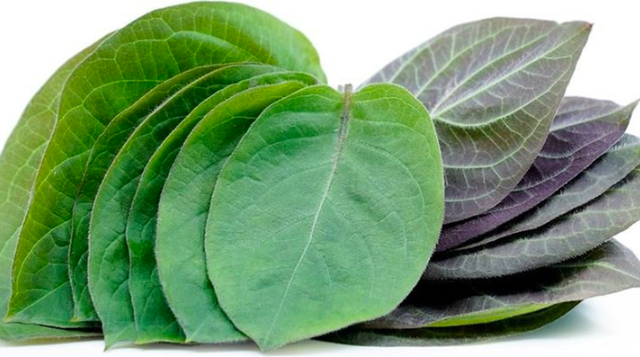2 loại rau ít "ngậm" thuốc trừ sâu, cái số 1 đầy ở chợ nhiều người không biết mà mua - Ảnh 3.