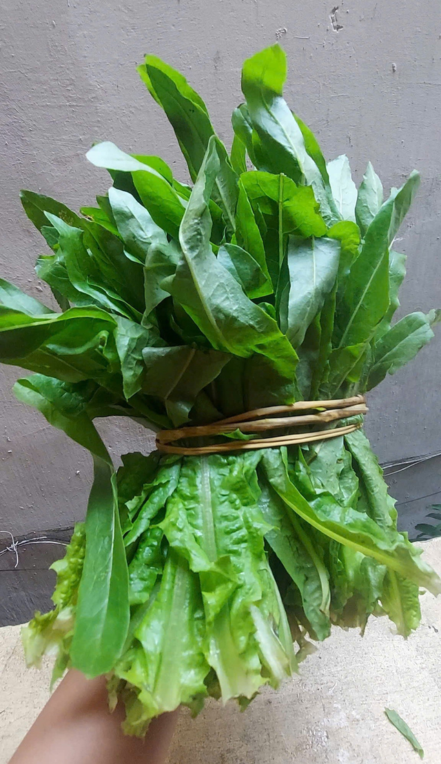 2 loại rau ít "ngậm" thuốc trừ sâu, cái số 1 đầy ở chợ nhiều người không biết mà mua - Ảnh 1.