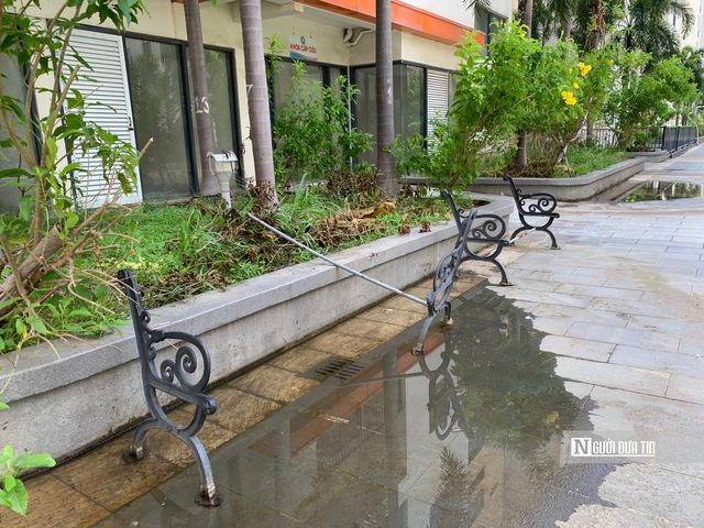 Số phận hàng nghìn căn hộ tái định cư Thủ Thiêm bỏ không, bao giờ định đoạt? - Ảnh 5.