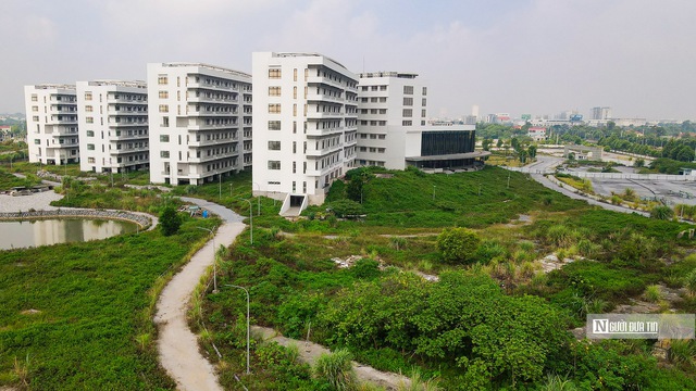 Không để phát sinh sai phạm mới khi xử lý các dự án tồn đọng kéo dài - Ảnh 1.