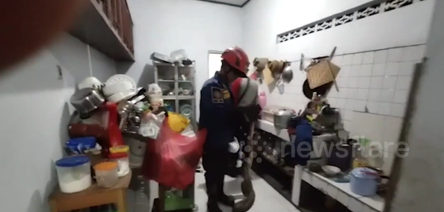 Đi vệ sinh lúc nửa đêm, người phụ nữ phát hiện cảnh tượng đáng sợ - Ảnh 1.