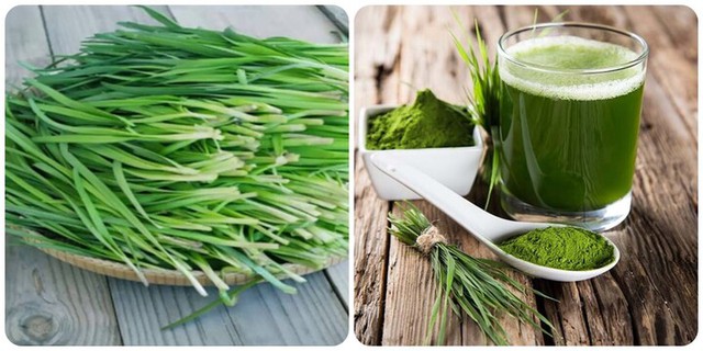 Lá hẹ - Loại rau nhỏ mà có võ, hỗ trợ phòng chống ung thư, tốt cho sức khỏe - Ảnh 11.
