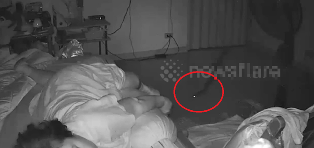 Đang ngủ, cụ bà 75 tuổi phát hiện cảnh tượng nổi da gà giữa đêm- Ảnh 1. Đang ngủ, cụ bà 75 tuổi phát hiện cảnh tượng nổi da gà giữa đêm- Ảnh 1.