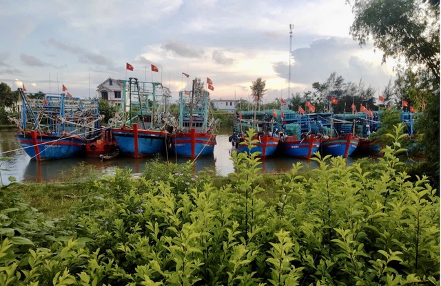 Thanh Hóa: 100% tàu thuyền đã tránh trú bão an toàn, cưỡng chế di dời khi cần thiết- Ảnh 1. Thanh Hóa: 100% tàu thuyền đã tránh trú bão an toàn, cưỡng chế di dời khi cần thiết- Ảnh 1.