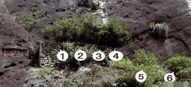 Đặc sản truyền đời có "1-0-2", mỗi năm thu được 6 lạng không ngờ giá tới 38 tỷ/kg - Ảnh 4.