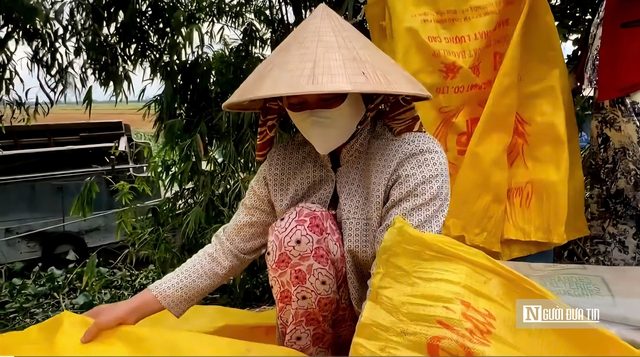 Thu hoạch lúa Hè Thu, nông dân lo lỗ vì giá - Ảnh 2.