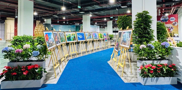 80 năm độc lập, gói trọn trong trải nghiệm mang tên "Việt Nam Hạnh phúc"- Ảnh 1.