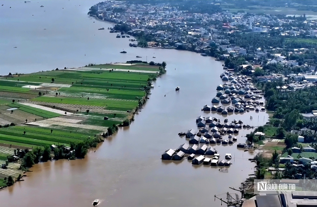 Theo ngư dân săn “cá heo” trên sông nước miền Tây- Ảnh 11. Theo ngư dân săn “cá heo” trên sông nước miền Tây- Ảnh 11.