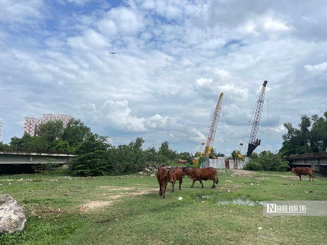 Cận cảnh dự án Vành đai 2 Tp.HCM nhiều năm “đắp chiếu” chờ ngày “hồi sinh”- Ảnh 5. Cận cảnh dự án Vành đai 2 Tp.HCM nhiều năm “đắp chiếu” chờ ngày “hồi sinh”- Ảnh 5.