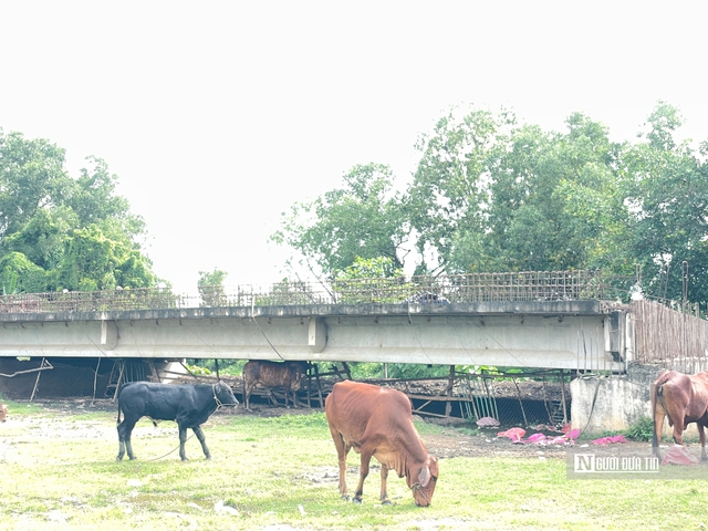 Cận cảnh dự án Vành đai 2 Tp.HCM nhiều năm “đắp chiếu” chờ ngày “hồi sinh”- Ảnh 10. Cận cảnh dự án Vành đai 2 Tp.HCM nhiều năm “đắp chiếu” chờ ngày “hồi sinh”- Ảnh 10.