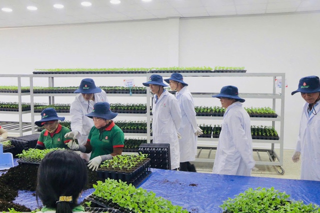 Gia Lai: Điểm đến của các nhà đầu tư nông nghiệp công nghệ cao- Ảnh 8. Gia Lai: Điểm đến của các nhà đầu tư nông nghiệp công nghệ cao- Ảnh 8.