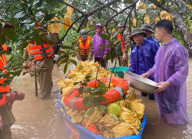 Chiến sĩ Công an ngâm mình trong nước lũ “giải cứu” đặc sản Hà Tĩnh- Ảnh 1. Chiến sĩ Công an ngâm mình trong nước lũ “giải cứu” đặc sản Hà Tĩnh- Ảnh 1.