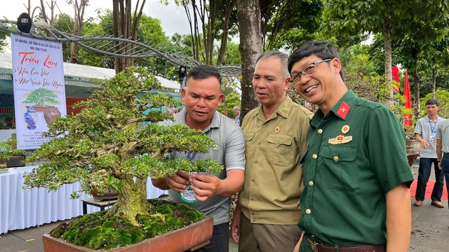 Triển lãm gốm và trưng bày bonsai phục vụ người dân và du khách dịp lễ 2/9- Ảnh 6. Triển lãm gốm và trưng bày bonsai phục vụ người dân và du khách dịp lễ 2/9- Ảnh 6.
