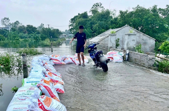 Hà Nội: Xác minh trường hợp phá bao cát chắn lũ trên đê- Ảnh 1. Hà Nội: Xác minh trường hợp phá bao cát chắn lũ trên đê- Ảnh 1.