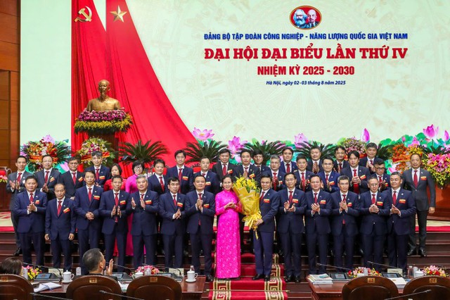 Phát triển Tập đoàn có tiềm lực mạnh, quản trị hiện đại, năng lực cạnh tranh cao, tiên phong trong chuyển dịch năng lượng và tăng trưởng xanh bền vững - Ảnh 12.