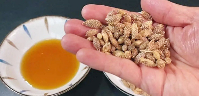Loài cây là "kẻ thù nhà nông" ở quê ít ai ngó, nay thế giới lại đánh giá cao vài trăm nghìn mới mua được 1kg - Ảnh 4.