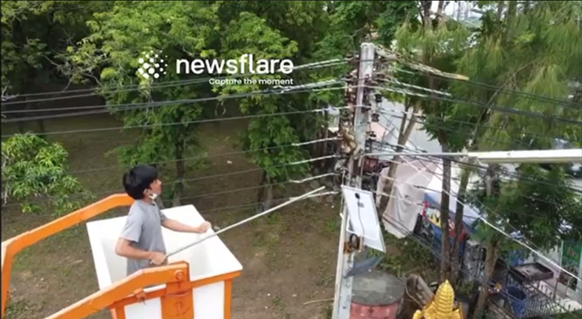 Nhìn lên cột điện, người đàn ông phát hiện cảnh tượng nổi da gà giữa ban ngày - Ảnh 2.