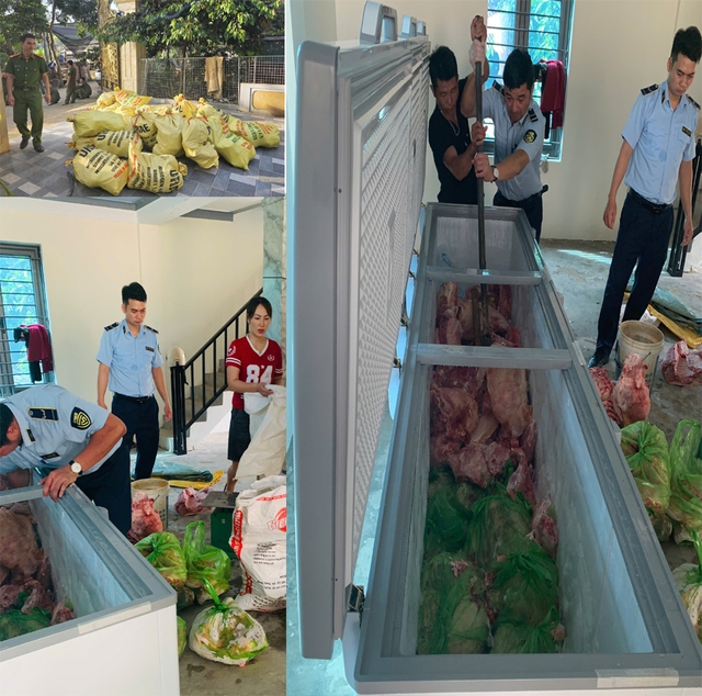 Tạm giữ 4 đối tượng mổ 1,6 tấn lợn nhiễm dịch tả lợn châu Phi để bán ra thị trường- Ảnh 1.