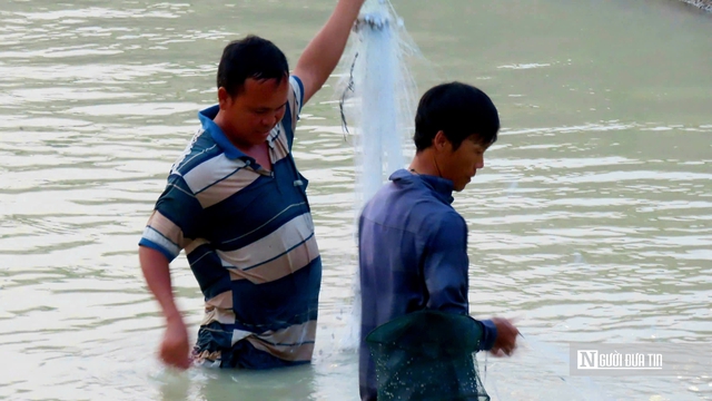 Vẻ đẹp bình yên của lòng hồ Dầu Tiếng mùa nước cạn - Ảnh 5.