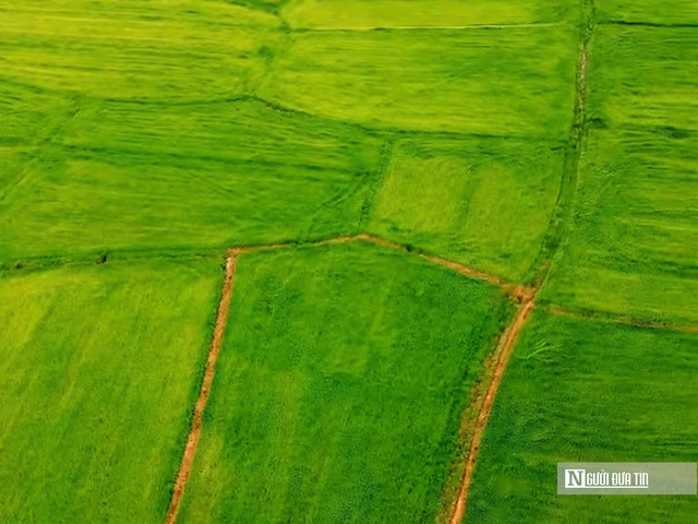 Vẻ đẹp bình yên của lòng hồ Dầu Tiếng mùa nước cạn - Ảnh 9.