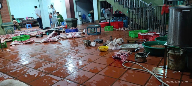 Phát hiện cơ sở giết mổ, bán lợn nhiễm dịch tả lợn châu Phi số lượng lớn- Ảnh 1.