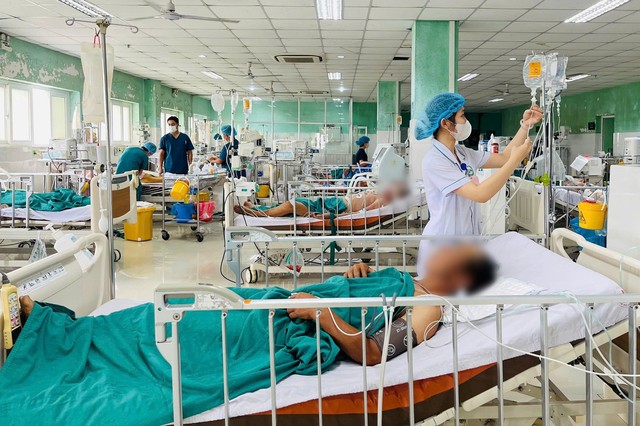 Hai cha con nhập viện sau khi ăn mắm cá chua tự làm - Ảnh 1.