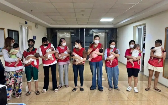 Phá đường dây mang thai hộ giá 300-400 triệu đồng/ca - Ảnh 1.