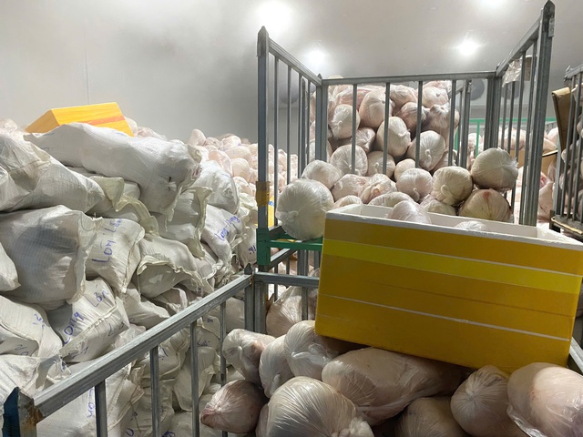 Phát hiện hàng nghìn con lợn giết mổ đông lạnh không rõ nguồn gốc- Ảnh 3.