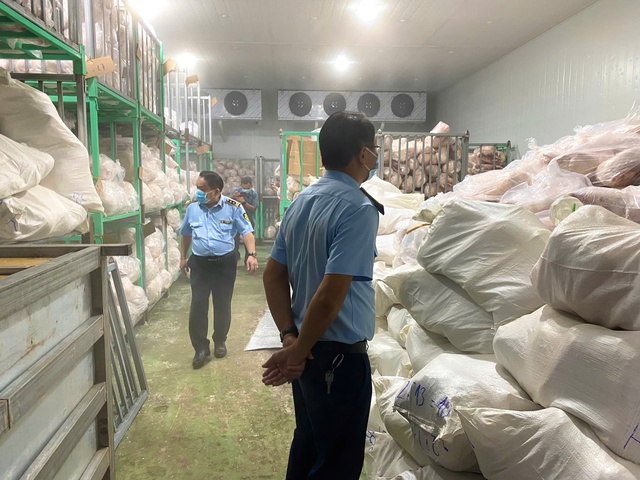 Phát hiện hàng nghìn con lợn giết mổ đông lạnh không rõ nguồn gốc- Ảnh 2.